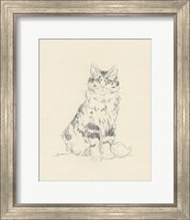 Framed 'House Cat III' border=