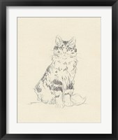 Framed 'House Cat III' border=