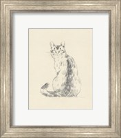 Framed 'House Cat V' border=