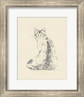 Framed 'House Cat V' border=