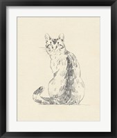 Framed 'House Cat V' border=