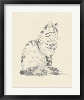 Framed 'House Cat VI' border=