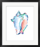 Pop Shell Study I Framed Print