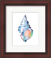 Framed 'Pop Shell Study II' border=