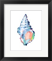 Framed 'Pop Shell Study II' border=