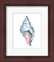 Framed 'Pop Shell Study IV' border=