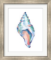 Framed 'Pop Shell Study IV' border=