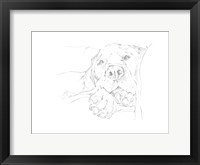 Lazy Dog I Framed Print