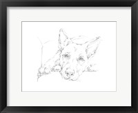 Framed Lazy Dog IV