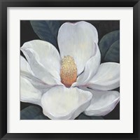 Framed 'Blooming Magnolia I' border=