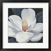 Framed 'Blooming Magnolia I' border=