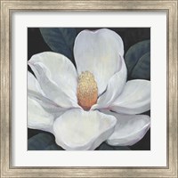 Framed 'Blooming Magnolia I' border=