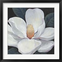 Framed 'Blooming Magnolia I' border=