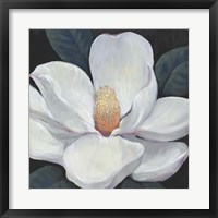 Blooming Magnolia I Framed Print