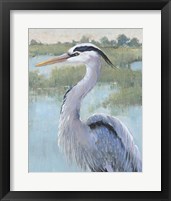 Framed 'Blue Heron Portrait I' border=