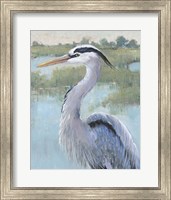 Framed 'Blue Heron Portrait I' border=