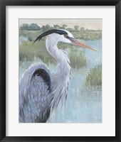 Blue Heron Portrait II Framed Print