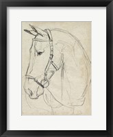 Horse in Bridle Sketch II Framed Print