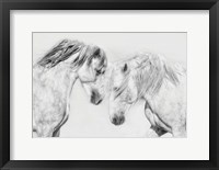 Framed Equine Portrait I