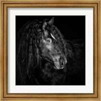 Framed 'Equine Portrait IX' border=