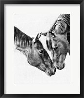 Framed Equine Portrait VI