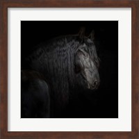 Framed 'Equine Portrait X' border=