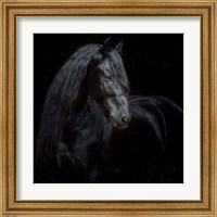 Framed 'Equine Portrait XI' border=