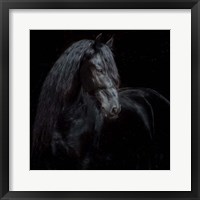 Framed 'Equine Portrait XI' border=