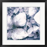 Blue Shaded Leaves II Framed Print