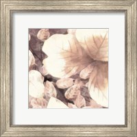 Framed 'Blush Shaded Leaves I' border=