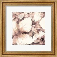 Framed 'Blush Shaded Leaves II' border=