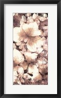 Blush Shaded Leaves V Framed Print