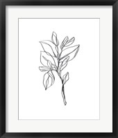 Leaf Sprig I Framed Print