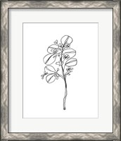 Framed 'Leaf Sprig II' border=