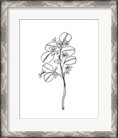 Framed 'Leaf Sprig II' border=