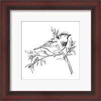 Framed 'Simple Songbird Sketches I' border=