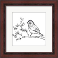 Framed 'Simple Songbird Sketches II' border=