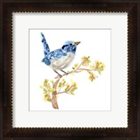 Framed 'Springtime Songbirds I' border=