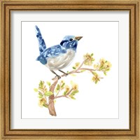 Framed 'Springtime Songbirds I' border=