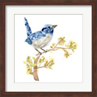 Framed 'Springtime Songbirds I' border=