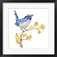 Framed 'Springtime Songbirds I' border=