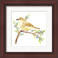 Framed 'Springtime Songbirds II' border=