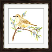 Framed Springtime Songbirds II