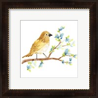 Framed 'Springtime Songbirds III' border=