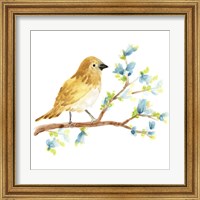 Framed 'Springtime Songbirds III' border=