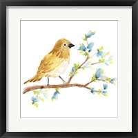 Springtime Songbirds III Framed Print
