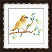 Framed 'Springtime Songbirds III' border=