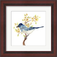 Framed 'Springtime Songbirds IV' border=