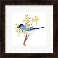 Framed 'Springtime Songbirds IV' border=