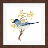 Framed 'Springtime Songbirds IV' border=